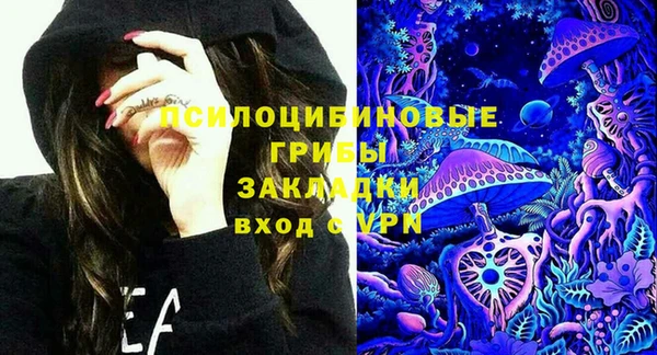 дживик Богданович